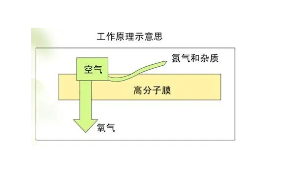 1729840535510179.png 微信截圖_20241025151347.png